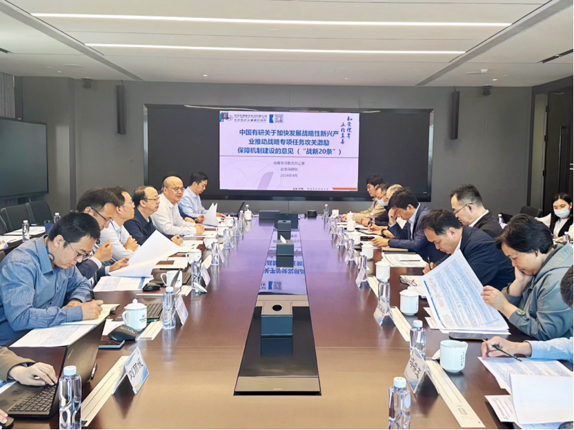 中国南宫NG28 召开落实“战新20条”工作部署会